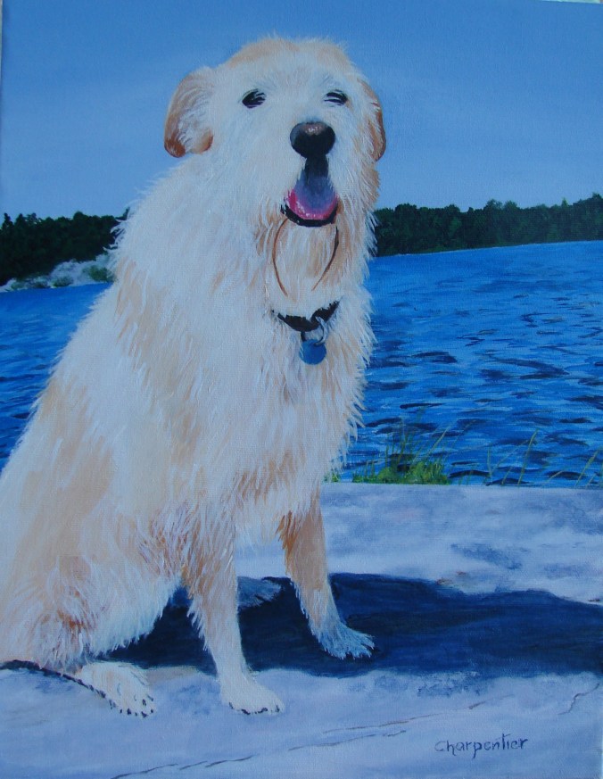 Who wants to go for a Swim