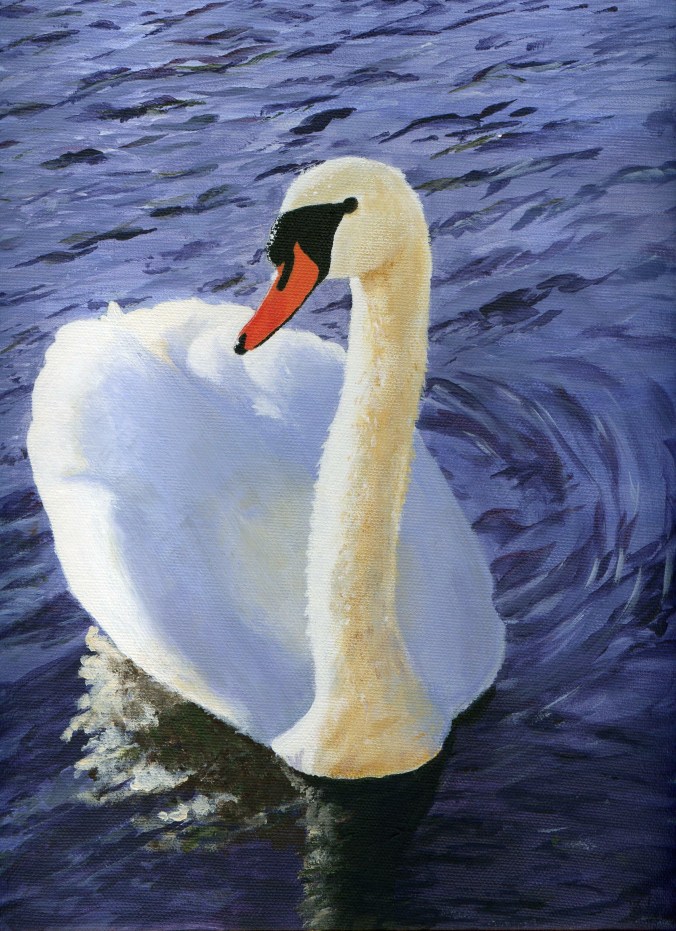 Swan